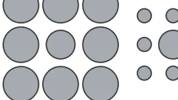 Iluzia optică ce îi păcăleşte pe adulţi, dar nu şi pe copii! Tu te-ai lăsat păcălit? 