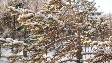 Când vine iarna în Romania. Avertisment ANM