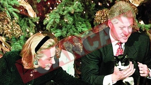 Clintonii si-au eutanasiat pisica