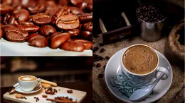 Producția tradițională de cafea, pe picior de dispariție! Descoperirea făcută de oamenii de știință