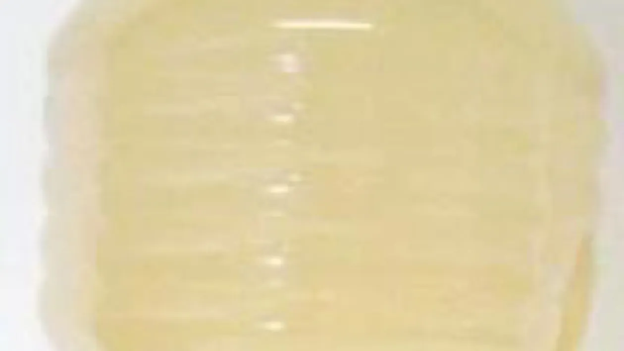 Borsul, cel mai bun medicament pentru oboseala, alcoolism, indigestie si TBC