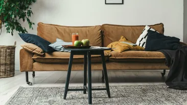 Pericolul ascuns din locuință! Obiectele banale care îți pot afecta sănătatea dacă nu sunt schimbate frecvent