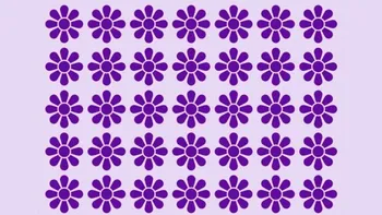 Test de logică | Doar una dintre aceste 35 de flori este diferită de celelalte. Identificați-o!