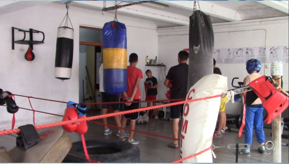 „Micul Hercule” s-a reprofilat! Cea mai nouă ocupaţie a lui este…