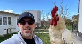 Galerie foto - poza 2