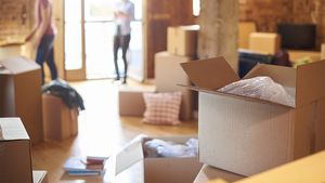 Panică totală pentru o familie din Mehedinți! S-au trezit cu un șarpe în dormitor