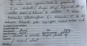 Galerie foto - poza 4