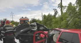 Galerie foto - poza 3