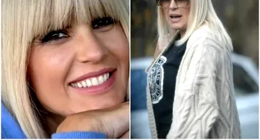 Elena Udrea va fi eliberată? Magistrații vor decide dacă fostul ministru va ieși din spatele gratiilor