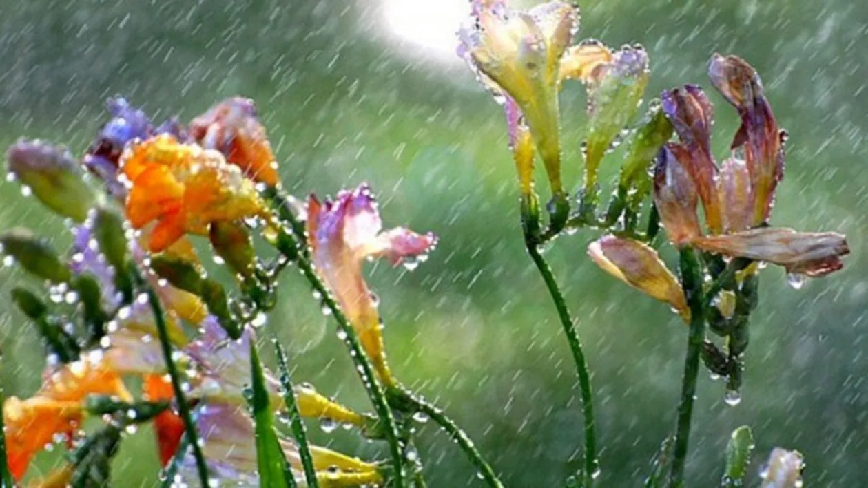 Vesti proaste de la meteorologi. Temperaturile scad, iar ploile nu se dau plecate! Cum va fi vremea pana sambata