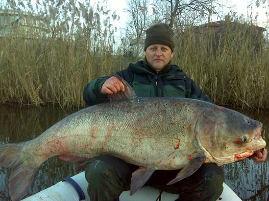 Laurențiu Andronic, unul dintre cei mai renumiți pescari din România