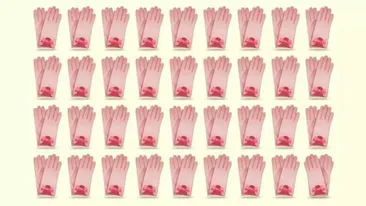 Test IQ | Numai cei cu ochi de vultur văd perechea diferită de mănuși, în doar 5 secunde!