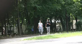 Galerie foto - poza 2