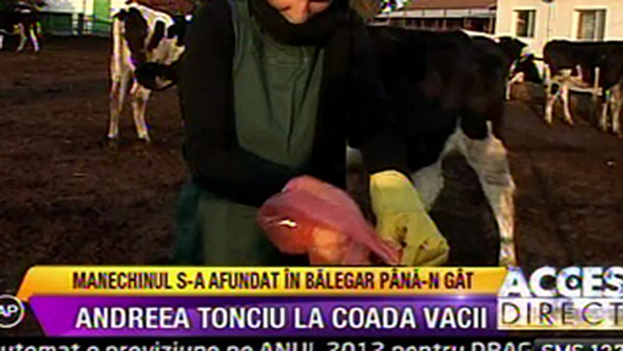 VIDEO Andreea Tonciu a muncit la coada vacii! Afla cum s-a descurcat vedeta cu animalele de la ferma!