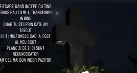 Galerie foto - poza 2