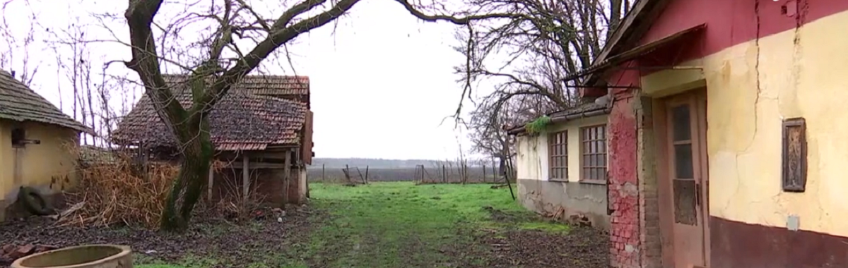 Româna a dat 5.000 de euro pe o casă cu un teren generos/ Sursă foto: Observatornews