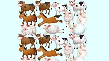 TEST IQ | În această poză sunt doar 2 animale identice. Geniile le găsesc în 30 de secunde