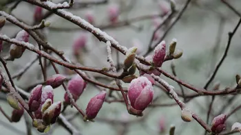 Prognoza meteo azi, 17 martie 2026. Răcire în Transilvania: temperaturi aproape de îngheț în depresiunile montane