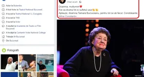 Galerie foto - poza 3