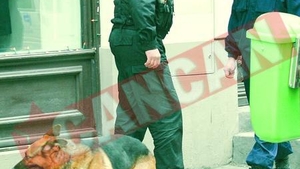 Au chemat politia sa aresteze doi agenti sub acoperire
