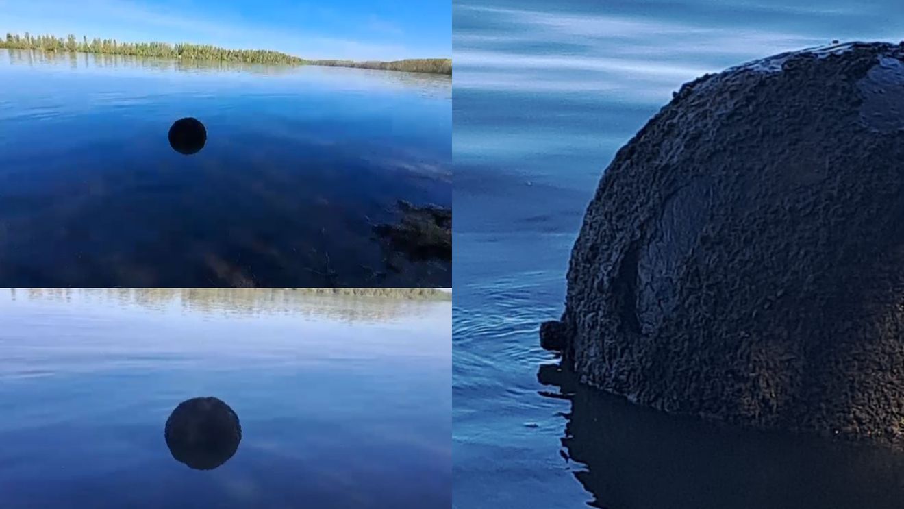 Descoperirea care i-a alarmat pe locuitorii din Tulcea. Bila neagră uriașă care a apărut în Dunăre, pe brațul Chilia Veche, pe 8 aprilie 2024