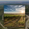 Toscana României este mai aproape decât crezi! Drumul Vinului, escapada de toamnă printre conace și podgorii