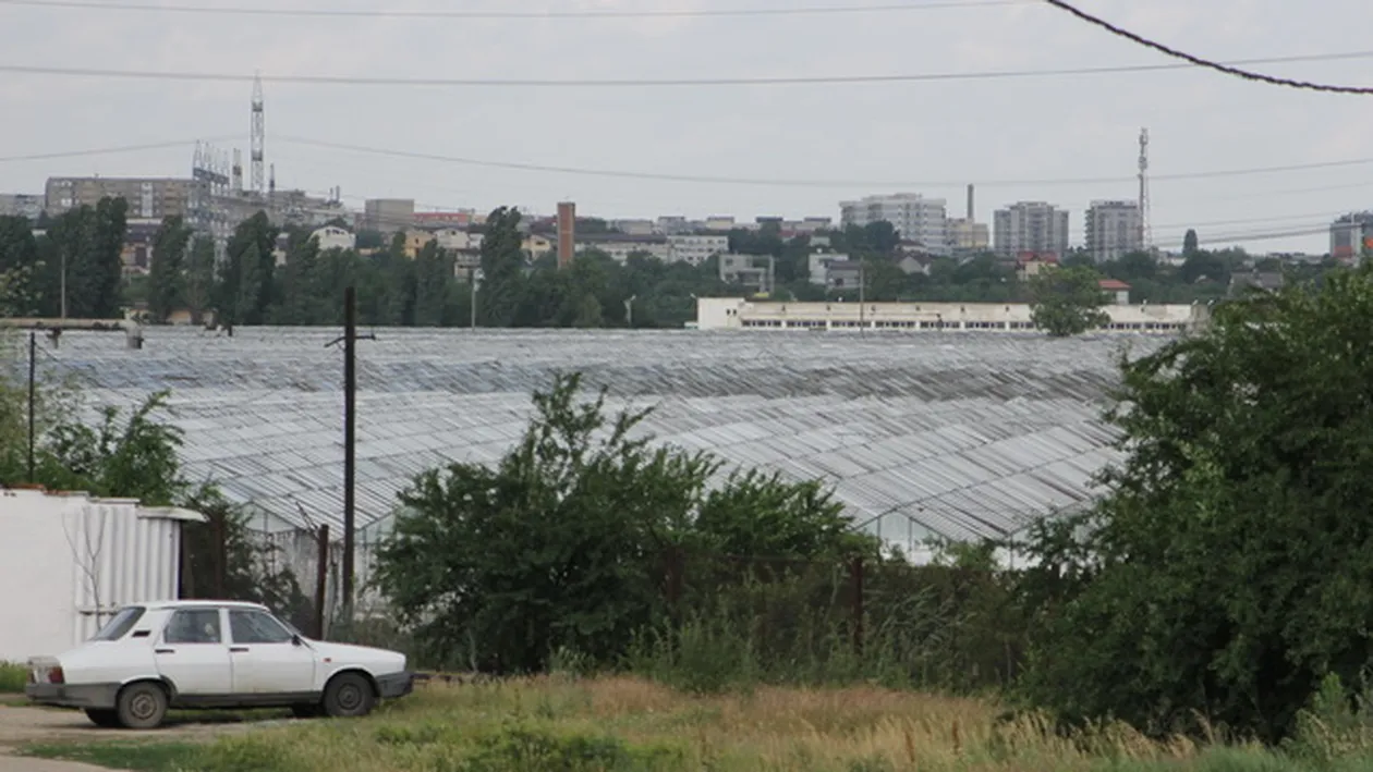 Becali a declarat ca vrea sa munceasca cat sta in puscarie! Va ajunge, probabil, muncitor la propriile sere! Imagini in premiera!