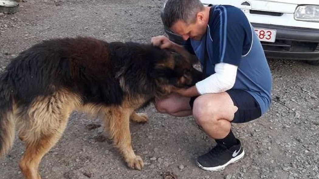 IMAGINI EMOŢIONANTE. Pompierul-erou din Bihor s-a reîntâlnit cu câinele pe care l-a salvat din foc