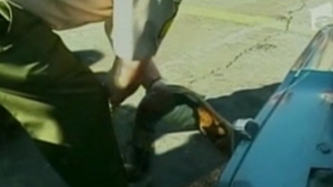 Surprize-surprize! VIDEO Au gasit un sarpe Boa de trei metri sub capota masinii