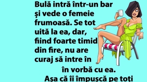 BANC | Bulă intră într-un bar și vede o femeie frumoasă