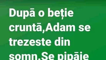 BANC | După o beție cruntă, Adam se trezește, se pipăie și exclamă: Unde sunt coastele mele?