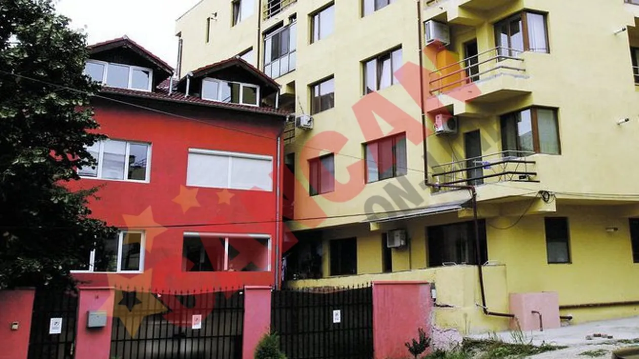 Doar o palma ii desparte