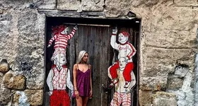 Galerie foto - poza 2