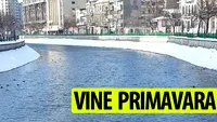 ANM a schimbat prognoza. Vine deja primăvara?! Temperaturi foarte ridicate în toată România