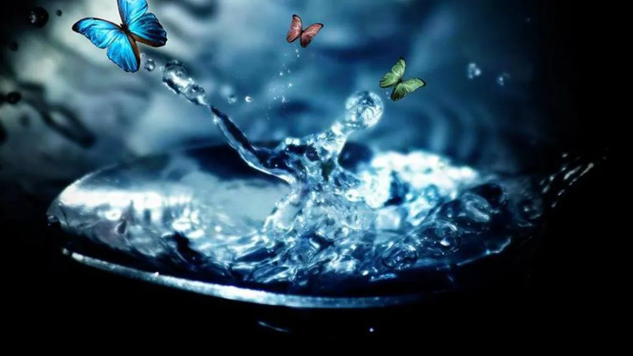 Ce înseamnă când visezi fluturi. Te aşteaptă ceva bun sau rău de la viaţă? Depinde de fluturi!