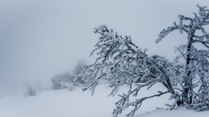 PROGNOZA METEO 22 MARTIE: Cod portocaliu de ninsoare și viscol în sudul țării