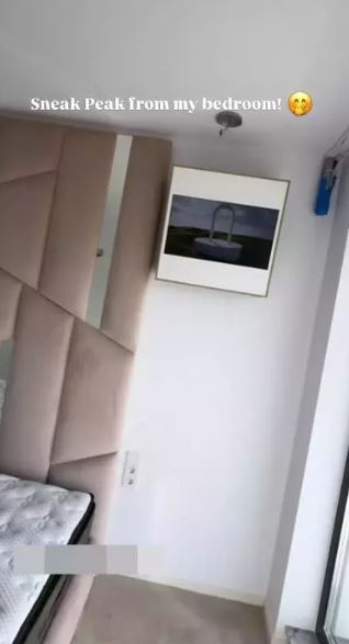 Cum arată apartamentul Ramonei Olaru după renovare. Are aer condiționat cu display și litieră „OZN”