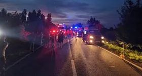 Galerie foto - poza 3