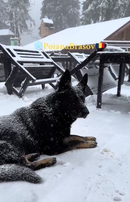 S-a depus zăpada în stațiunea Poiana Brașov