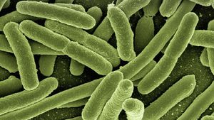 Bacterie periculoasă în Dunăre. Mai multe orașe din România, în alertă sanitară