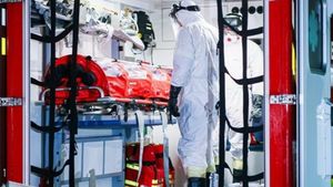 Avertisment îngrijorător al specialiștilor: ”Pandemia de coronavirus ar putea dura ani de zile”