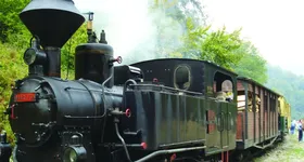 Galerie foto - poza 4