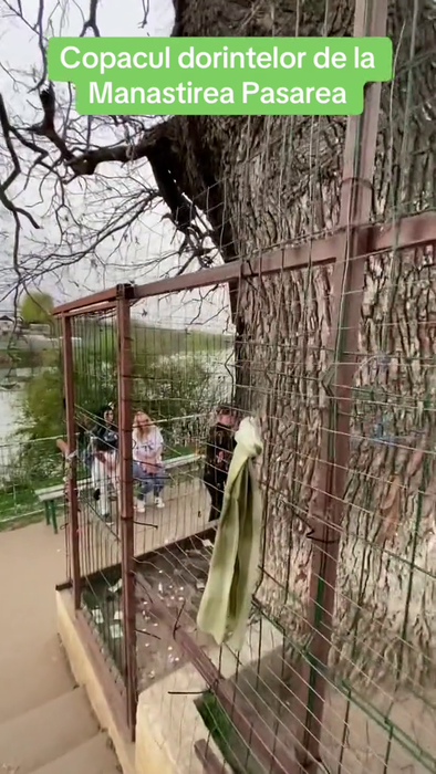 Sursa foto: capturi TikTok
