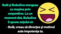 BANC | Bulă, Bubulina și divorțul în serpentine