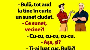 BANC | Bulă, tot aud la tine în curte un sunet ciudat