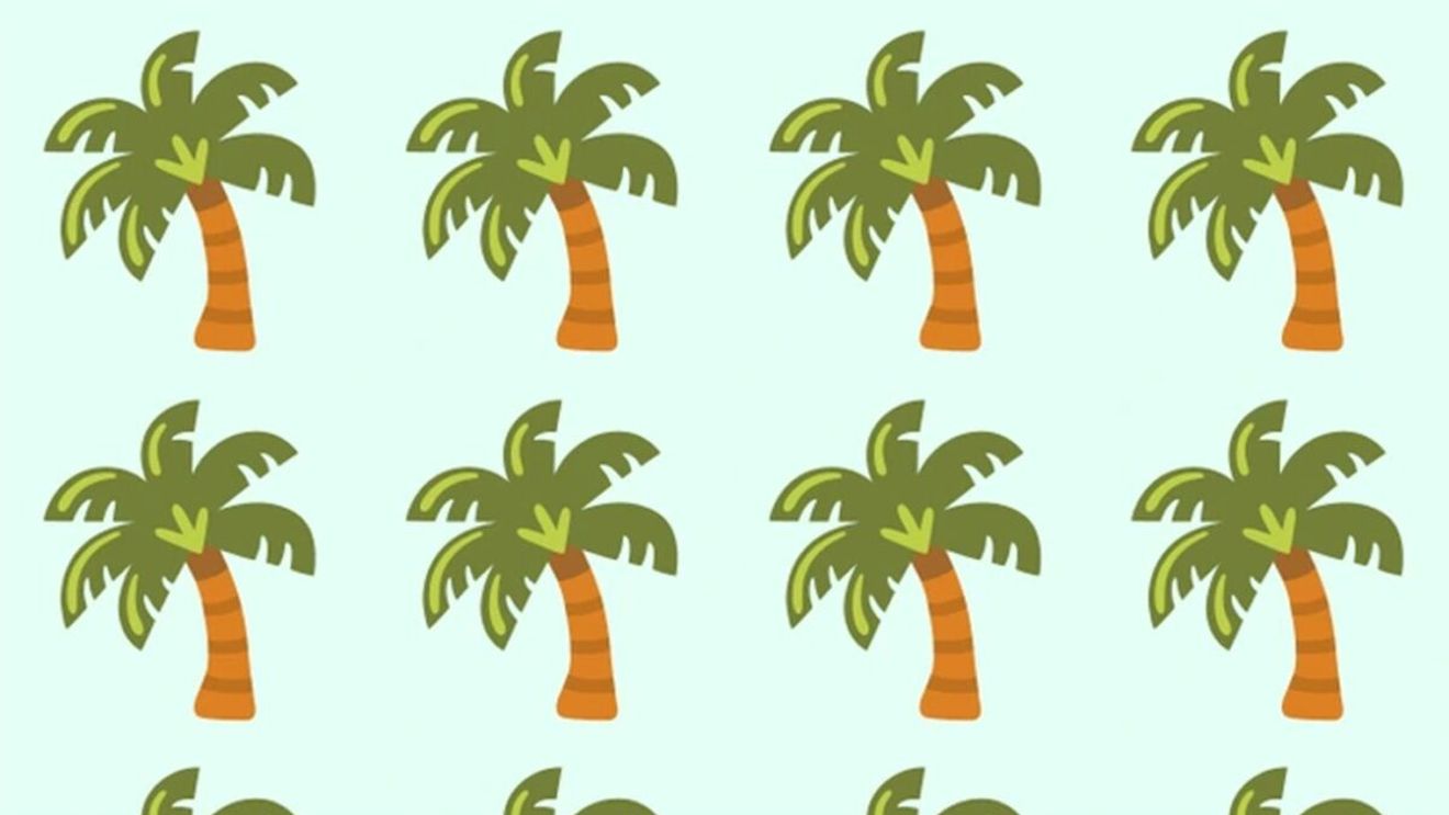 Test de logică | În această imagine apar 20 de palmieri, însă unul singur este diferit de ceilalți. Care?