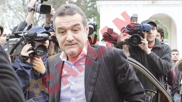Gigi Becali si-a luat teapa de 77.000 de euro de la o batrana de 70 de ani!