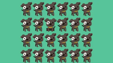 Test de inteligență | Unul dintre acești 24 de căței este diferit de ceilalți. Găsiți impostorul!