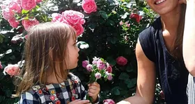 Galerie foto - poza 2