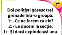 BANCUL ZILEI | Doi polițiști găsesc 3 grenade într-o groapă